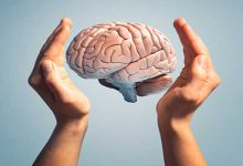 ذهن و هوش ذهن