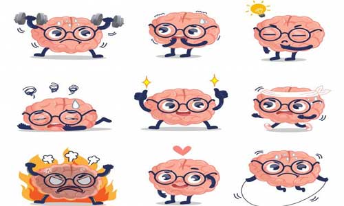 حالت های مغز