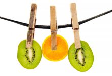 آموزشی خشکاندن میوه