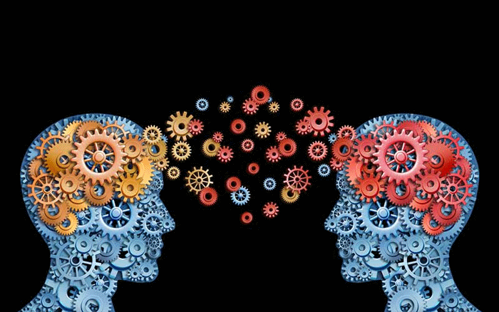 ارتباط اجتماعی مغز ها