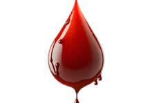 قسمت های تشکیل دهنده خون و ویژگی ها و خصوصیات